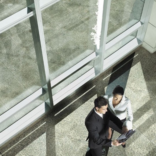 FILM SOLAIRE SILVER 20 OSW...