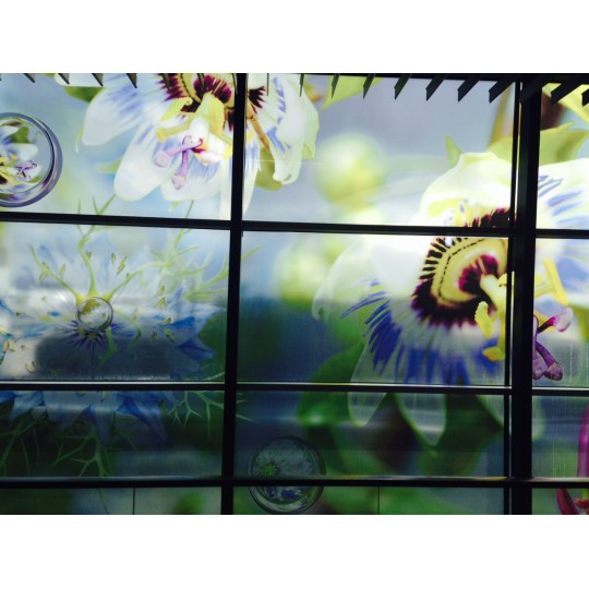 POLYDECOR AF - DEPOLI...