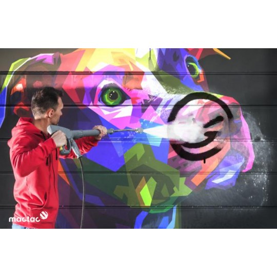 LAG 100 ANTIGRAFFITI...