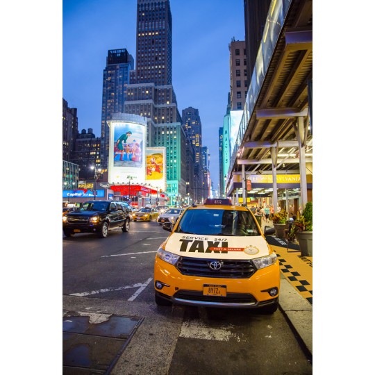 DECOBUS AF- MONOMERE -POSE...