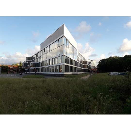 SENTINEL SILVER 20 PC